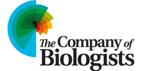 CoB_logo_533x260px